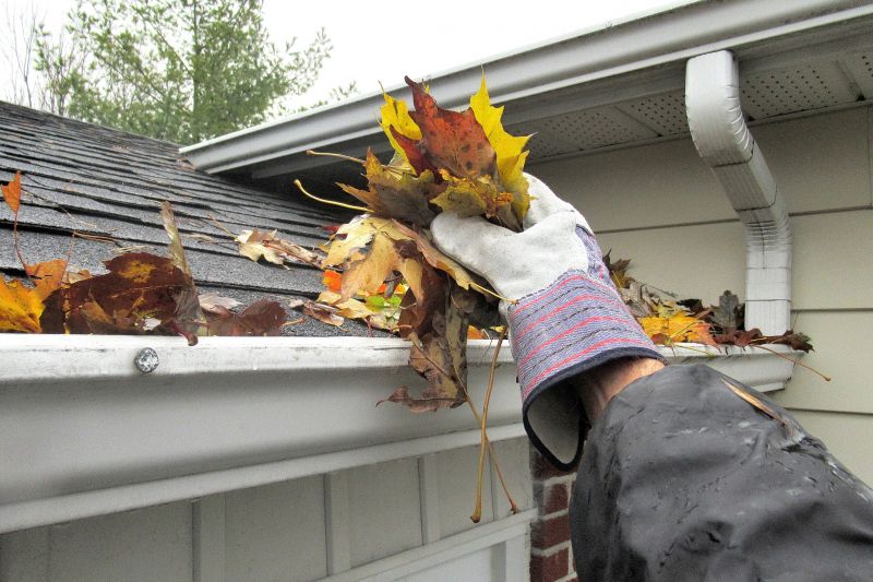 Timing Your Gutter Cover Service